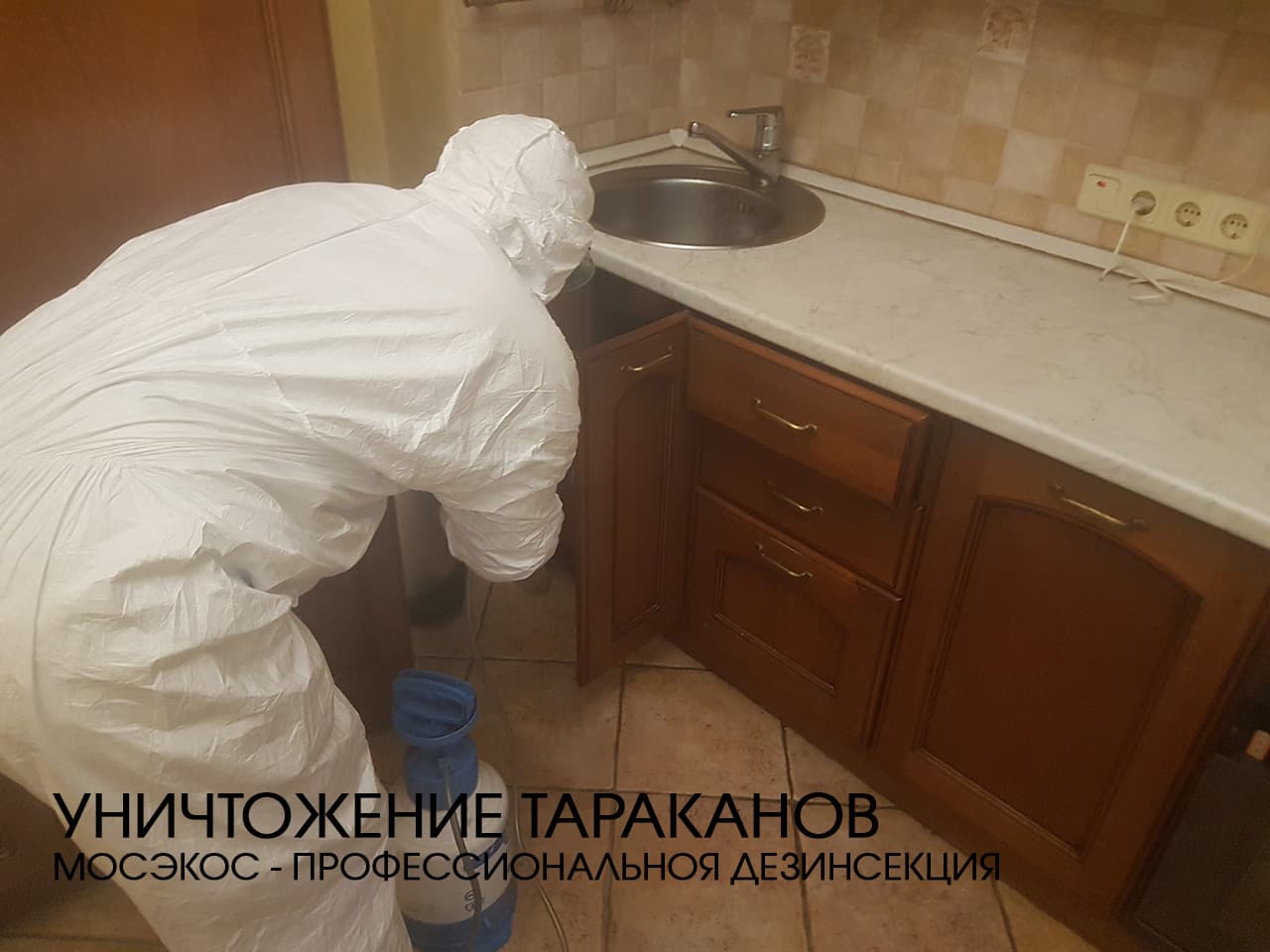 Служба по уничтожению тараканов в Наро-Фоминске