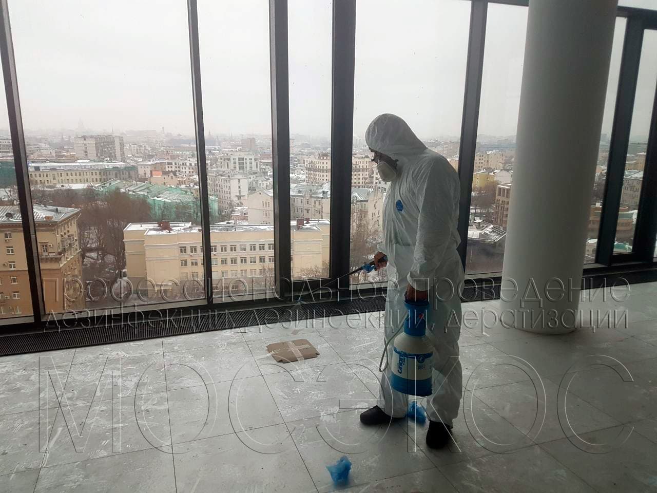 Уничтожение клопов в офисе  в Наро-Фоминске