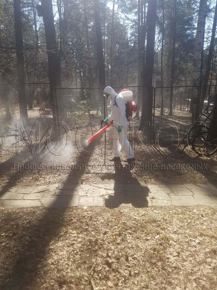 Уничтожение клещей на участке в Наро-Фоминске