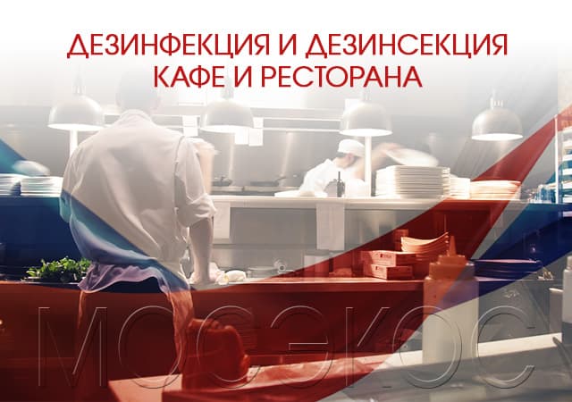 Дезинсекция предприятия общественного питания в Наро-Фоминске