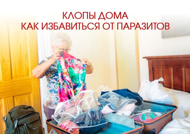 Клопы дома: как избавиться от паразитов в Наро-Фоминске